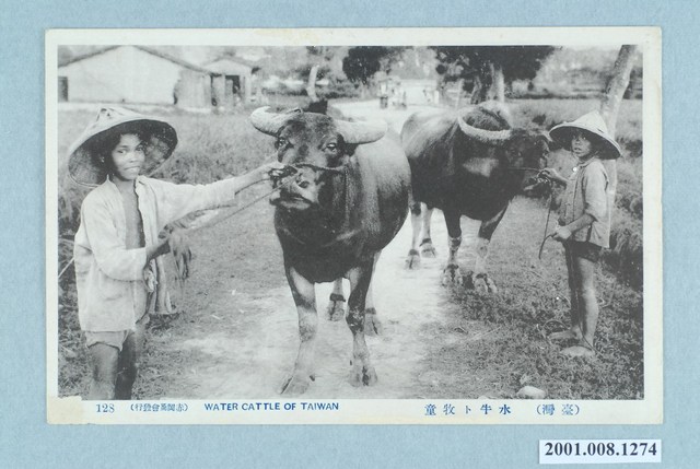 赤岡商會發行臺灣水牛與牧童 (共2張)