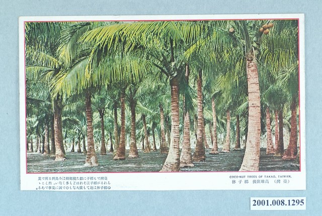 大正印製高雄旗後椰子林 (共2張)