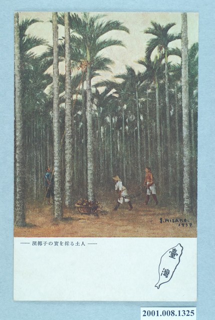 採收檳榔的本地人 (共4張)
