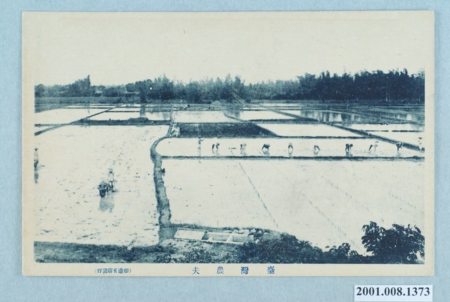 棚邊書店發行臺灣農夫 (共2張)