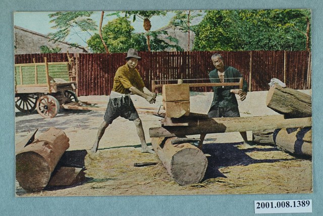 臺灣的鋸木 (共2張)