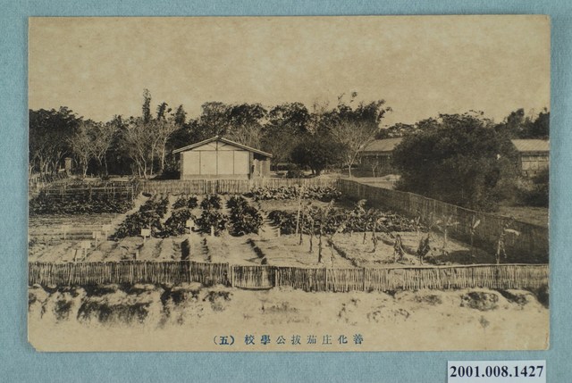 善化庄茄拔公學校 (共4張)