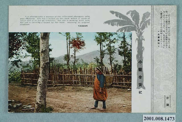 背著藤籃的泰雅族婦女 (共2張)