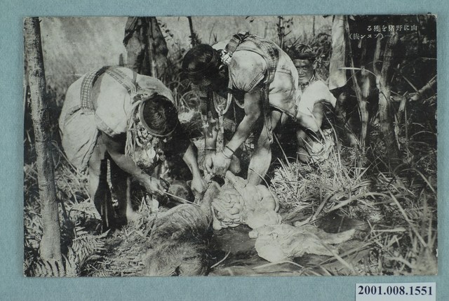 捕獵到山豬的布農族男子 (共2張)