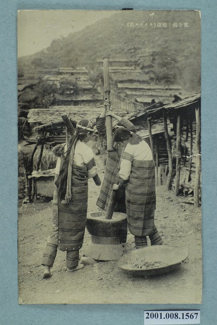 搗小米的泰雅族婦女 (共2張)