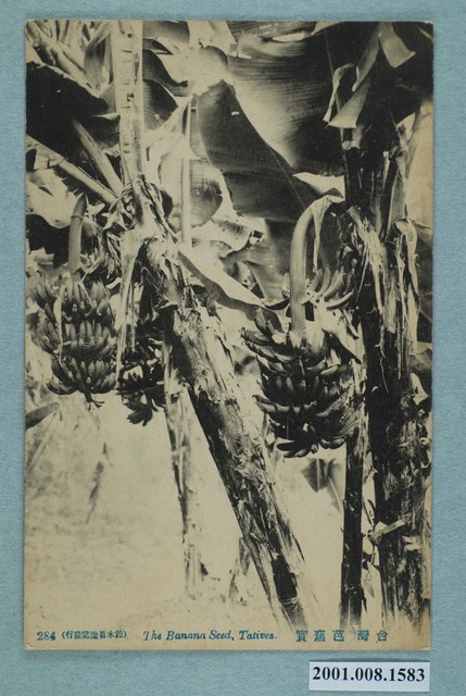 鈴木勇進堂發行臺灣芭蕉 (共2張)