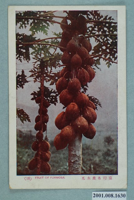 臺北新高堂發行臺灣名產木瓜 (共2張)
