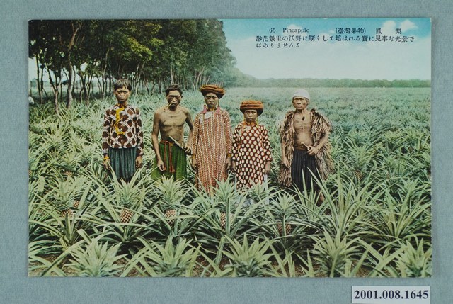 臺北生蕃屋本店印行臺灣果物鳳梨 (共4張)