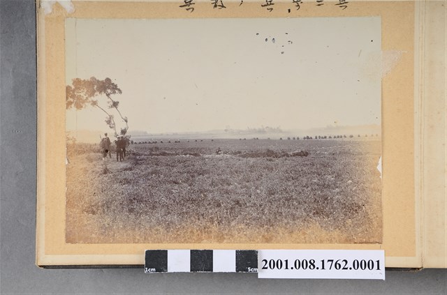 彰化南門演習其二步兵之散兵 (共4張)