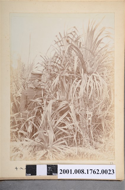 子爵裏辻少尉 (共3張)