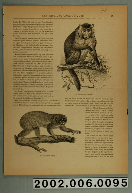 《天主教傳教團》之〈打狗猴山上的臺灣獼猴〉 (共4張)