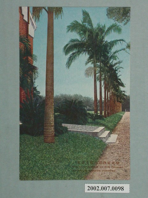 臺北新高堂發行臺北植物園內成排椰子樹 (共2張)