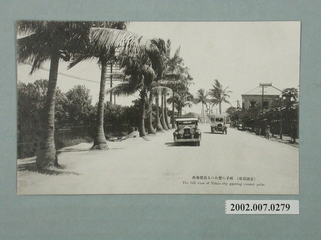 臺灣高雄椰子及高雄市街 (共4張)