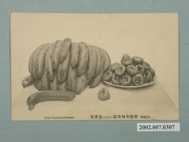 臺灣蓮霧與芭蕉 (共2張)