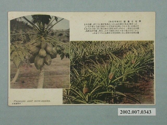 山形屋發行高雄州名產鳳梨與木瓜 (共2張)