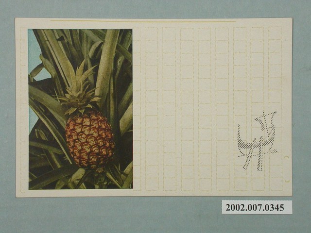 臺北生蕃屋本店印行鳳梨 (共2張)