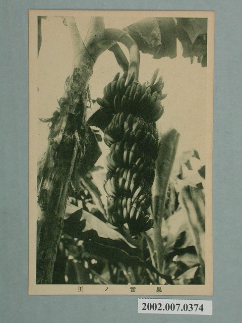 果實的王者 (共2張)