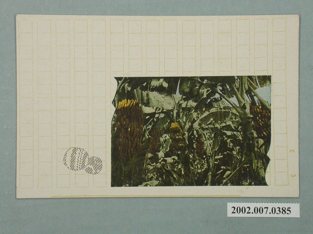 臺北生蕃屋本店印行香蕉園 (共2張)