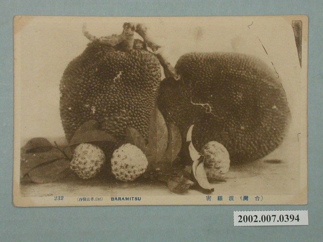 杉田書店發行臺灣水果波蘿蜜 (共2張)