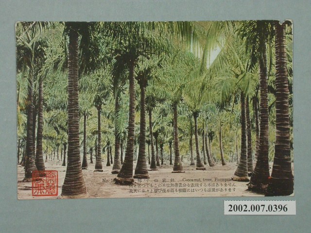 臺北生蕃屋本店印行棕櫚林 (共2張)