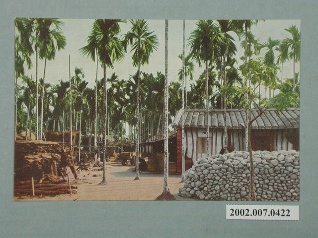 臺北菊元百貨店發行檳榔 (共2張)