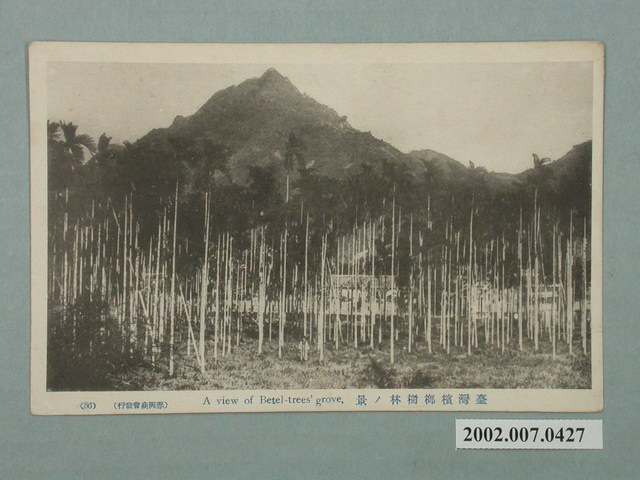 赤岡商會發行臺灣檳榔林之景 (共2張)