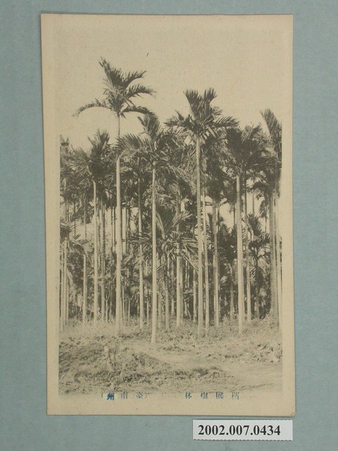 臺南州檳榔林 (共2張)