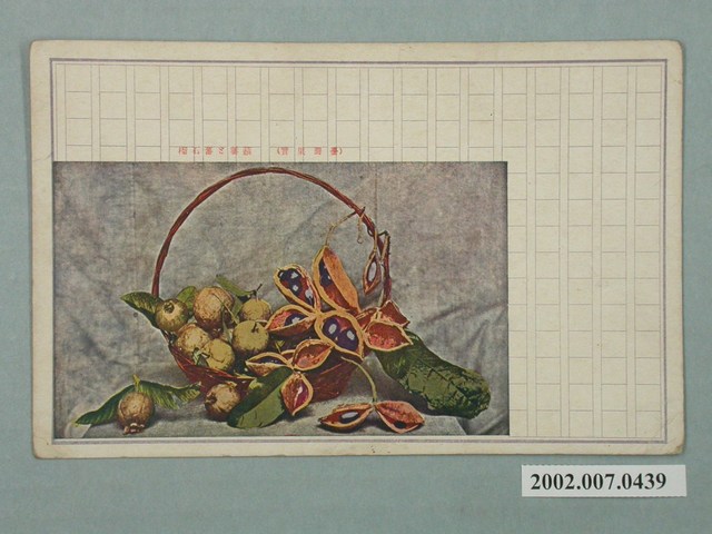 臺灣繪葉書會發行臺灣蘋蔢與芭樂 (共2張)