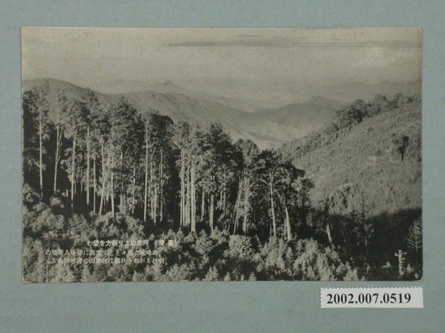 從阿里山南望 (共2張)