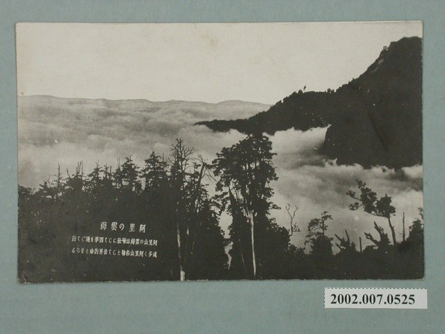 阿里山雲海 (共2張)
