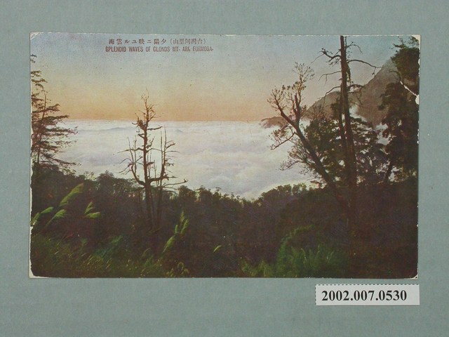 夕陽映照的雲海 (共2張)