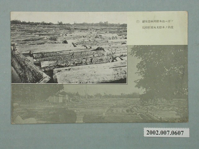 羅東營林所貯木池 (共2張)