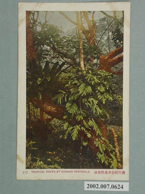 臺北新高堂發行臺灣恆春半島熱帶林 (共2張)