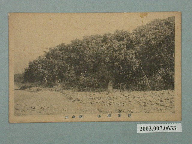 仙台印刷有限責任株式會社印製臺南州龍眼樹林 (共2張)