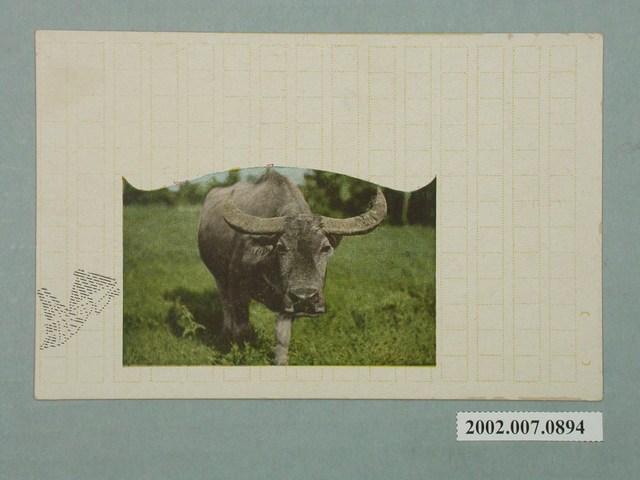 臺北生蕃屋本店印行臺灣水牛 (共2張)