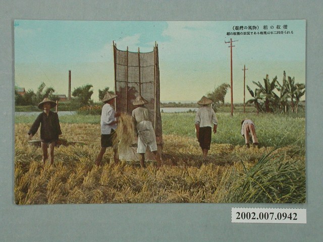 收穫的稻田 (共2張)