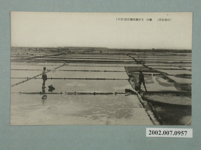 臺南安平鹽田天日鹽採鹽狀況 (共2張)