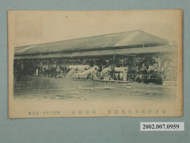 國語學校秋期運動會幌引競走 (共2張)