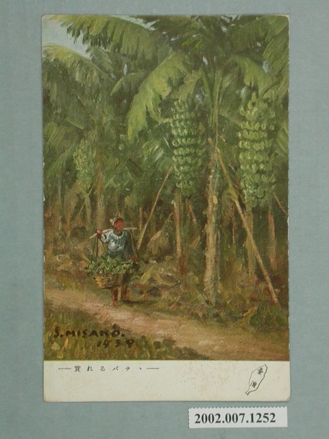 結實飽滿的香蕉 (共4張)