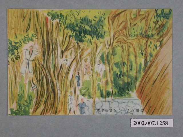 榕樹與它的氣根 (共2張)