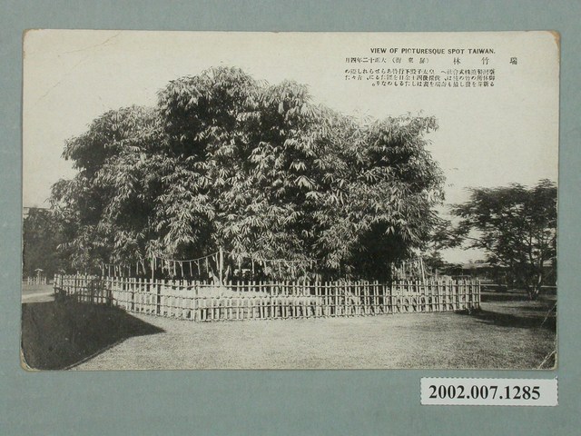 屏東瑞竹林 (共2張)