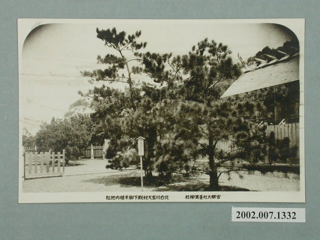 官幣大社臺灣神社北白川宮大妃殿下御手植內地松 (共2張)