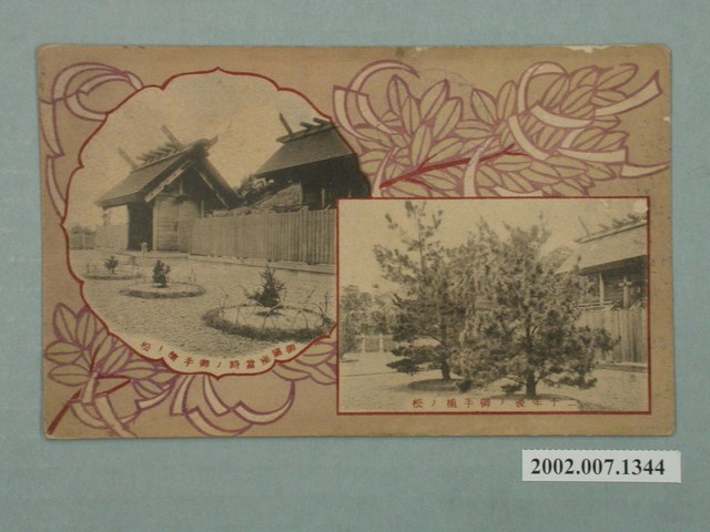 北白川宮能久親王妃御手植松 (共2張)