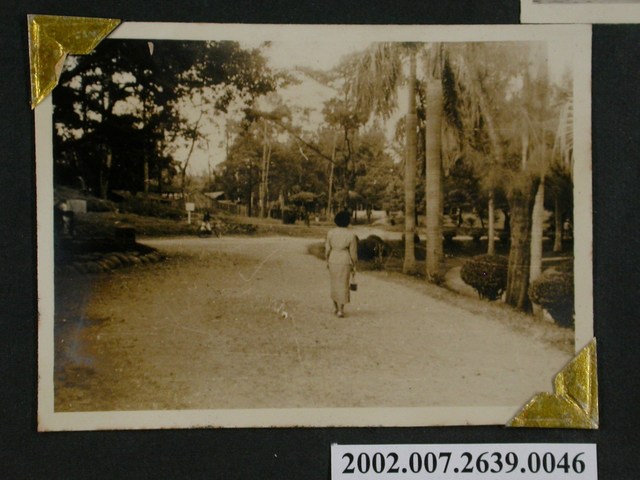 彭啟超夫人於臺中公園背身獨照 (共1張)