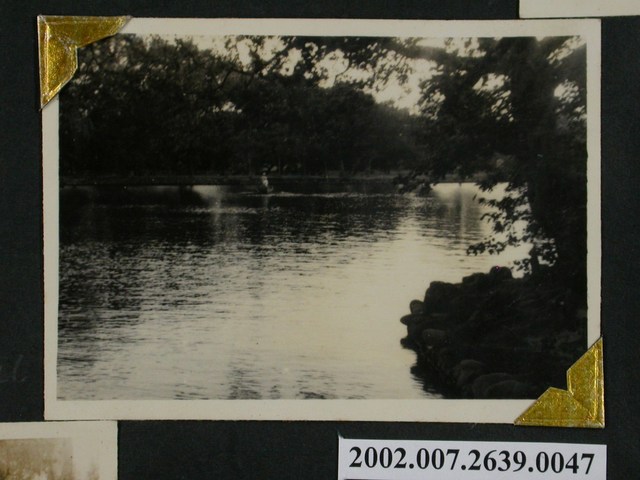 臺中公園一隅 (共1張)