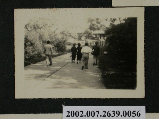 5人行走於道路 (共1張)