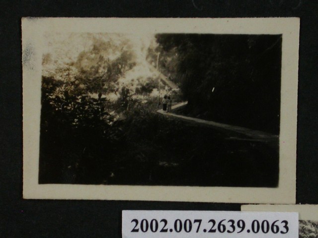 彭啟超夫人與1名女子行走於山林小徑 (共1張)