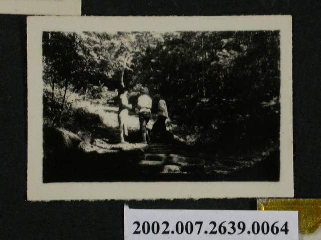 3人行走於山林小徑 (共1張)