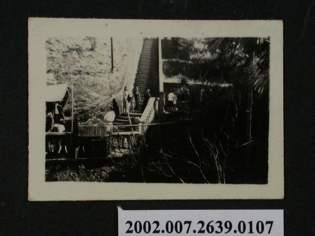 彭啟超夫人一行人於階梯合照 (共1張)