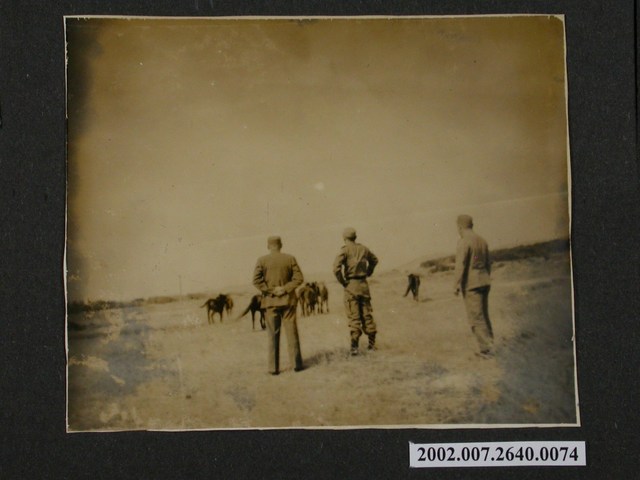 草原上的馬 (共1張)